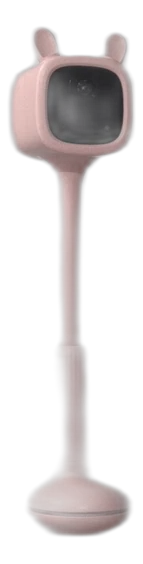 BM1